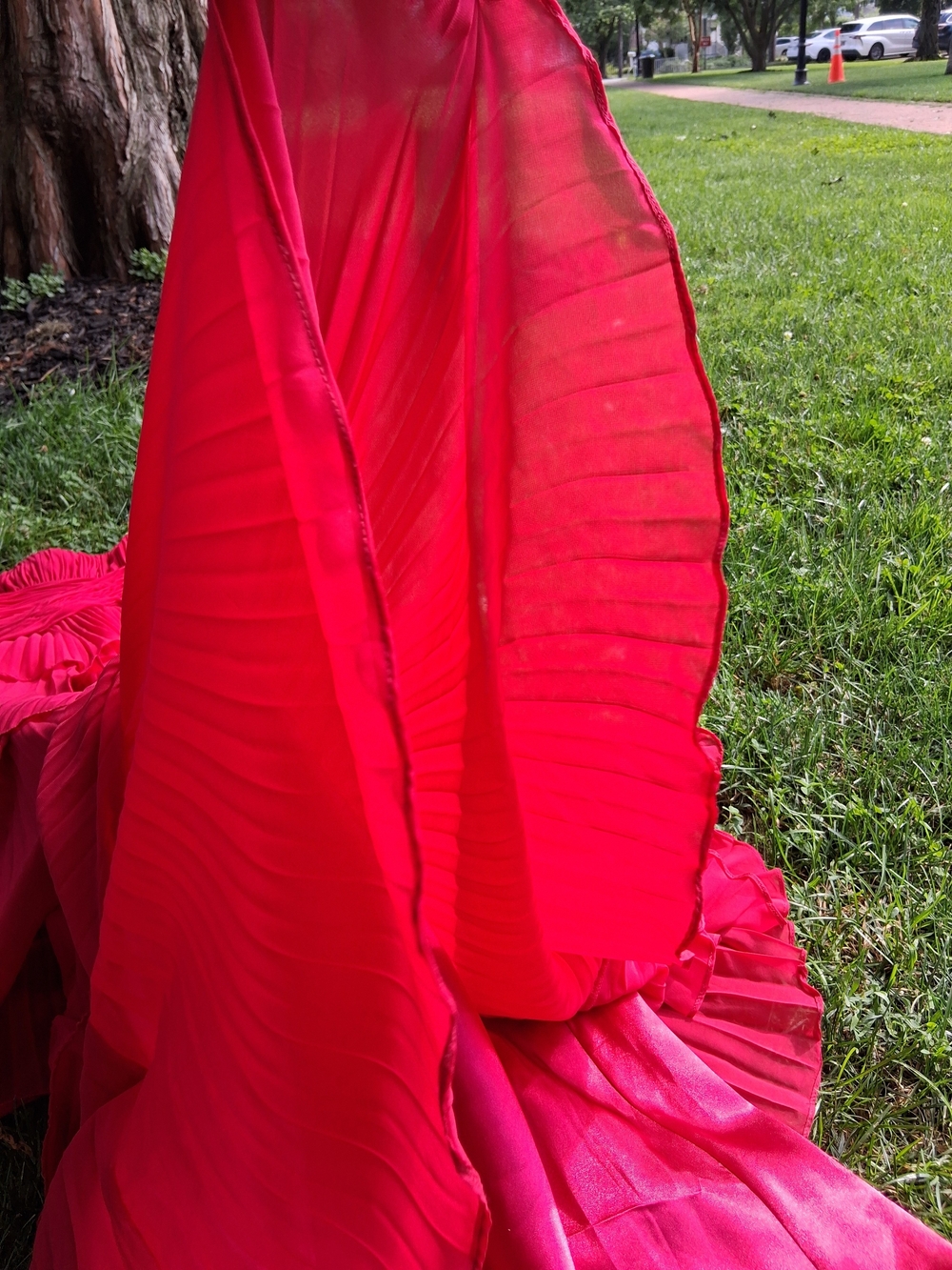 PROM DRESS Dalia Macphee Pleat Chiffon - Picture 12 of 14